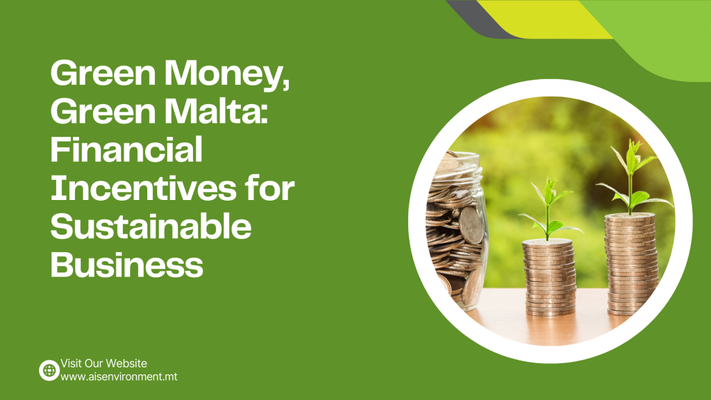Green Money, Green Malta: Financial Incentives for Sustainable Business