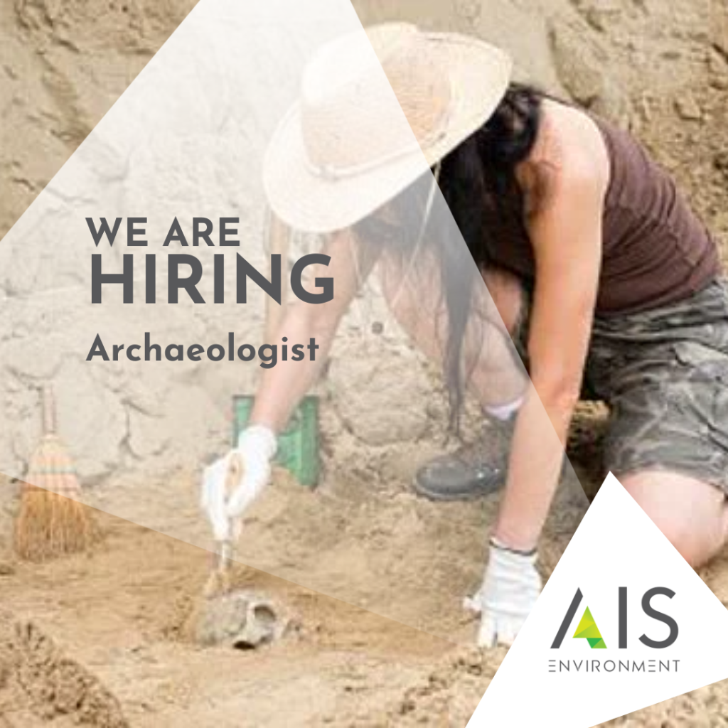 Archaeologist